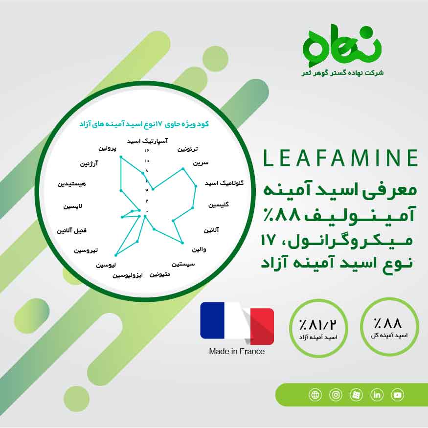 معرفی اسیدآمینه آمینولیف